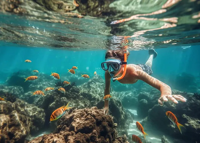 House With A Tropical Garden Semesterbostad Costa Adeje (Tenerife)