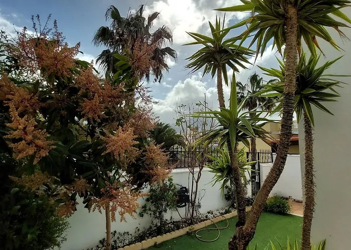 House With A Tropical Garden Semesterbostad