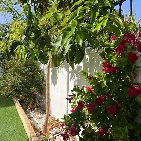 House With A Tropical Garden Адехе