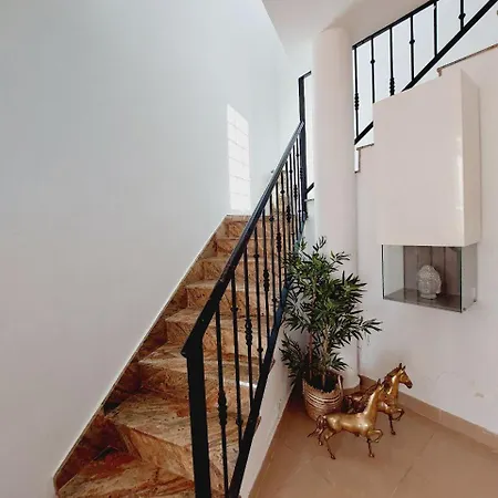 House With A Tropical Garden