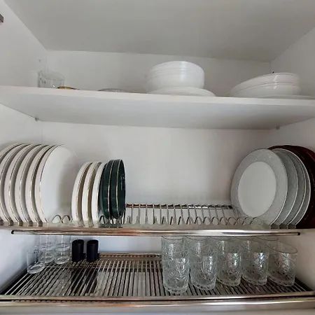 House With A Tropical Garden