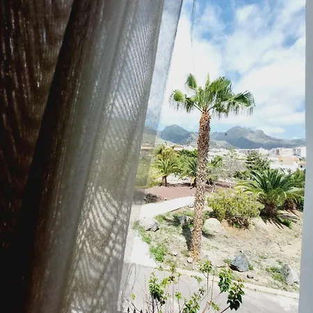 House With A Tropical Garden