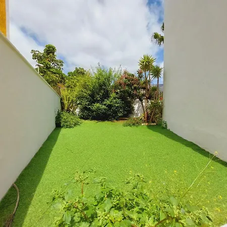 House With A Tropical Garden